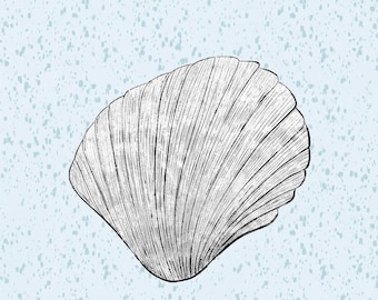 Muschel-Strichzeichnung zum Ausdrucken | Quadratische Muschelzeichnung | Minimalistische Wanddekoration im Küstenstil | Digitaler Download