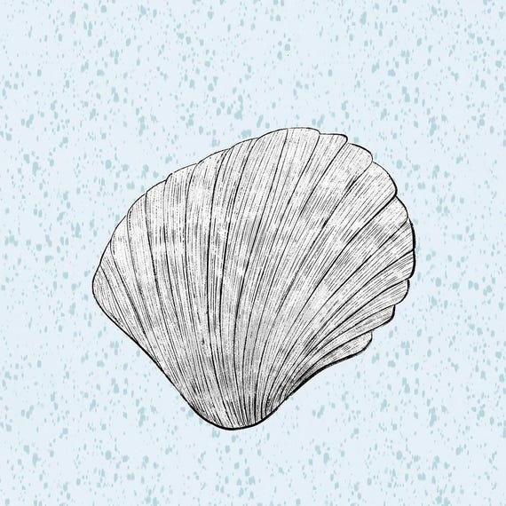 Seashell Line Art Square art print