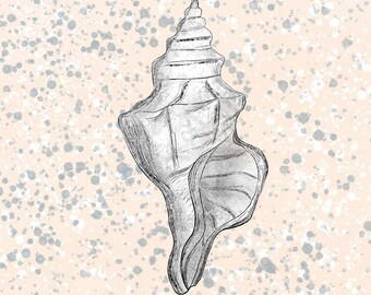 Wandbild mit Muschelmotiv zum Ausdrucken | Quadratische Küstenlinienzeichnung | Neutrale Stranddeko | Digitaler Download