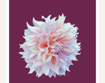 Wandbild „Cremefarbene Dahlie“ zum Ausdrucken | Pastellfarbene Blume auf weinrotem Grund | Luxuriöser botanischer Druck | Digitaler Download