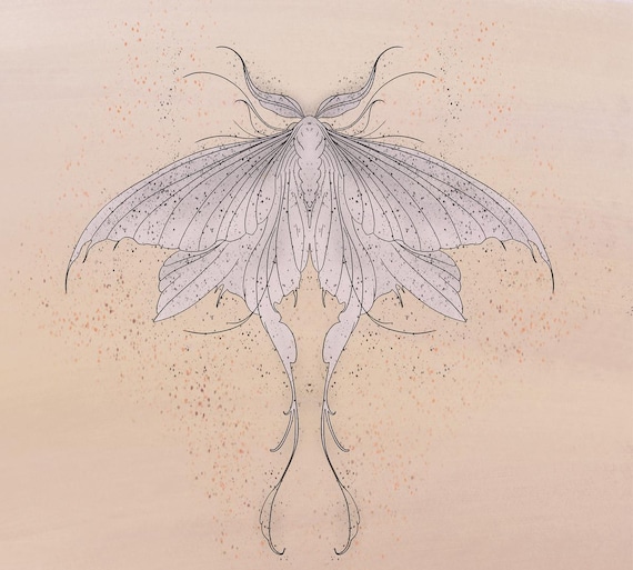 Luna Moth art print