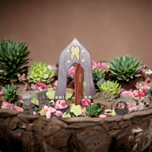 May include: A miniature fairy garden scene with a purple wooden house with a tooth design, a small gnome figure, and a variety of succulents and flowers.