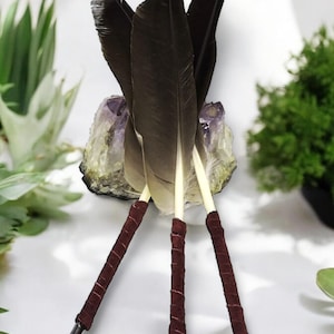 Lg Goose feather quill dip pen Calligraphy Love Letters Spell-writing Book of Shadows Journalist gift Wicca Pagan tools witchcraft supplies