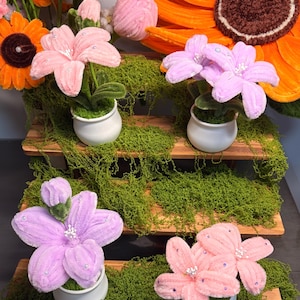 Handgjord piprensare minikrukväxt, fluffig chenillegarnblomkruka, söt skrivbordshylldekor, unik hantverkspresent till henne, kawaii twist