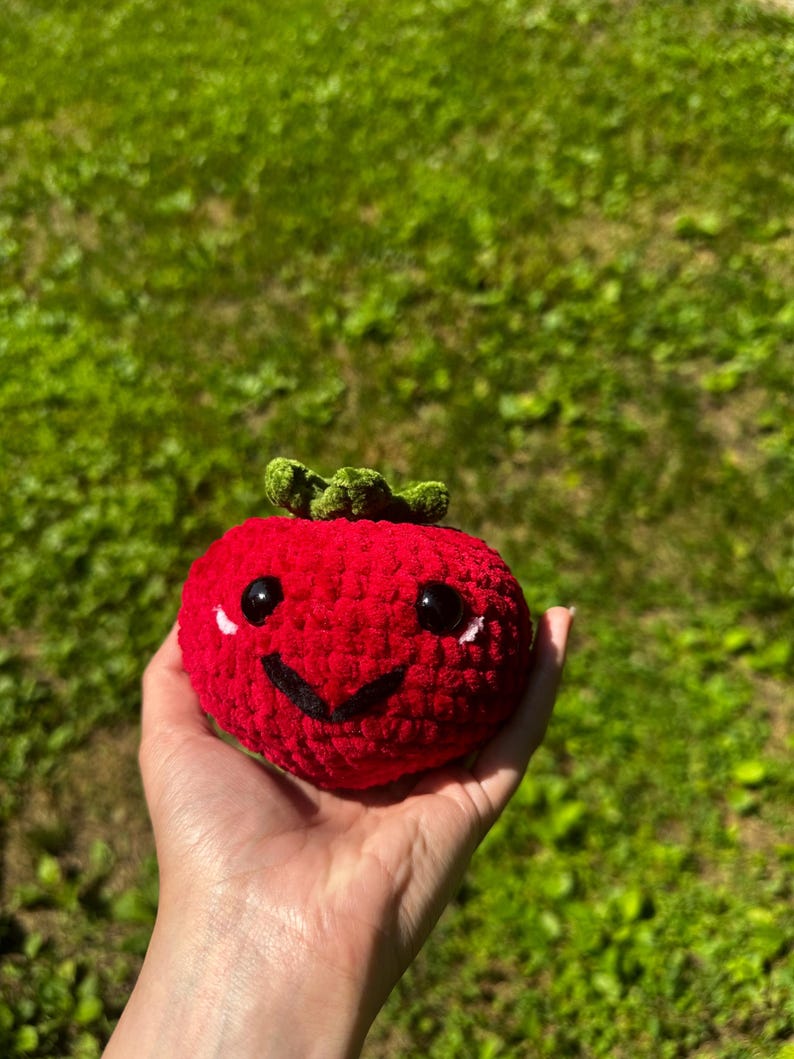 Handmade Amigurumi Tomato Plush Toy