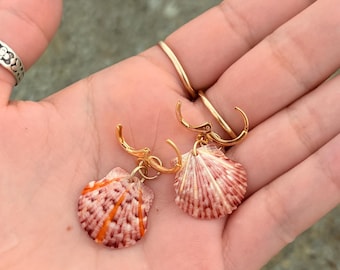 Scallop shell earrings