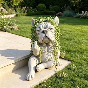 May include: A light gray stone-colored French bulldog statue sitting on a stone step. The figure has a muscular build, a wrinkled face, and is extending its middle finger. A trailing string of pearls succulent plant drapes over its head.