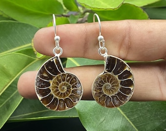 May include: A pair of drop earrings featuring polished, spiral-shaped ammonite fossils in shades of brown and tan. Each fossil is encased in a silver-toned metal setting with a simple hook wire for attachment, showcasing the natural chambered detail.