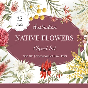 Australian Native Flowers Clipart, 12 Watercolour PNGs, Commercial Use