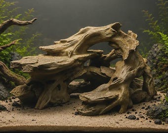 3D Printed Tropical Driftwood Cave Terrarium Aquarium - Terrarium Decor - Choose Colour & Size