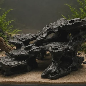 Op de afbeelding: Een donkergrijze, poreuze aquariumrotsformatie met een gelaagde structuur, bestaande uit meerdere platte oppervlakken en holle openingen. De rots heeft een ruwe, onregelmatige textuur met diepe groeven en een verweerd uiterlijk.