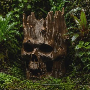 May include: A brown, hollowed-out skull planter with a textured, bark-like exterior that mimics the appearance of a weathered tree stump. The object features deep eye sockets, a nasal cavity, and a jagged, uneven top rim resembling broken wood.