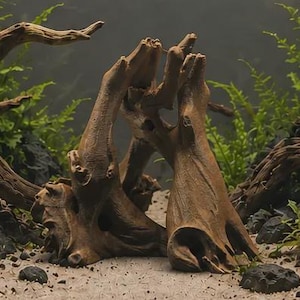 May include: A brown, weathered piece of driftwood shaped into an arch, positioned on a light-coloured sandy substrate. The wood features a textured, gnarled surface with natural crevices and hollows, surrounded by dark rocks and green aquatic plants.