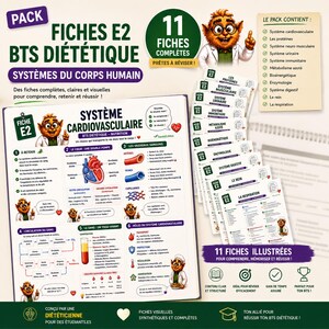 Op de afbeelding: Een set van 11 studiekaarten voor BTS Diëtetiek over de systemen van het menselijk lichaam. De geïllustreerde kaarten bevatten gedetailleerde diagrammen en tekst over het cardiovasculaire systeem, eiwitten, spieren, urineweg- en spijsverteringsstelsel.