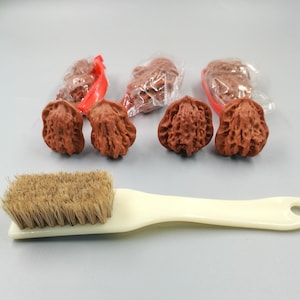 Natural Gourd Shape Walnut Pair Chinese Wenwan Hand Exercise Collectible Textured Fidget Nuts