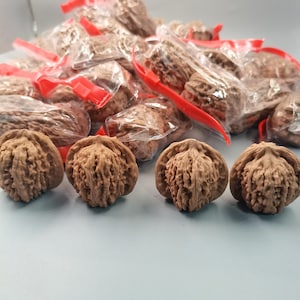 May include: A collection of whole walnuts with textured brown shells. Four walnuts are positioned in the foreground, while several others are individually packaged in clear plastic bags with red plastic clips, creating a bulk display of nuts.