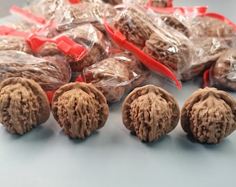 Paire de noix de coco Gongzi en peau brute de qualité supérieure, noix de collection naturelles pour l'exercice des mains (Wenwan chinois)