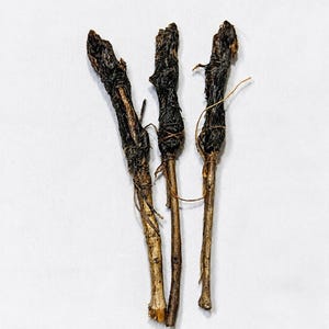 Puede incluir: Tres palos delgados y alargados con secciones superiores oscuras, texturizadas y de aspecto carbonizado, y tallos inferiores de madera más claros y lisos. Cada palo está envuelto con un cordel fino y claro que los conecta.