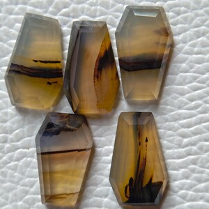 Puede incluir: Cinco piedras preciosas facetadas en forma de ataúd con una base translúcida de color marrón claro. Cada piedra presenta inclusiones dendríticas únicas de color marrón oscuro a negro que crean patrones orgánicos distintos en las superficies pulidas.