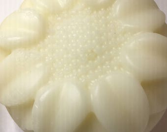 Solid Conditioner 5oz