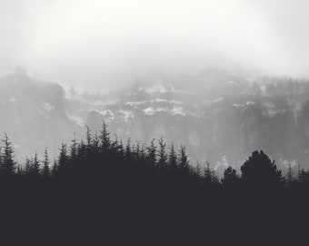 Black and White Mountain Landscape Print, Backlit Pine Tree Silhouettes