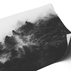 Photographie en noir et blanc d'une forêt enveloppée de brume. Les arbres apparaissent à travers un voile de brouillard, créant une ambiance apaisante et mystérieuse.