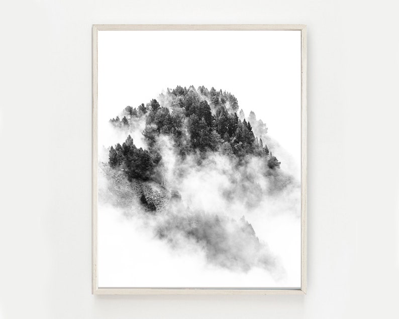 Photo noir et blanc d'un paysage de montagne : forêt de pins dans la brume. Décoration murale artistique pour votre maison ou votre bureau. image 6