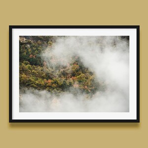 Herbstwald im Nebel - Naturfotografie als Wandkunst und Innendekoration