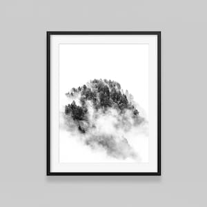 Schwarzweiss-Berglandschaftsfoto: Kiefernwald im Nebel. Künstlerische Wanddeko für Ihr Zuhause oder Büro. Wall Art - Wohnkultur