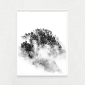 Photo noir et blanc d'un paysage de montagne : forêt de pins dans la brume. Décoration murale artistique pour votre maison ou votre bureau. image 8