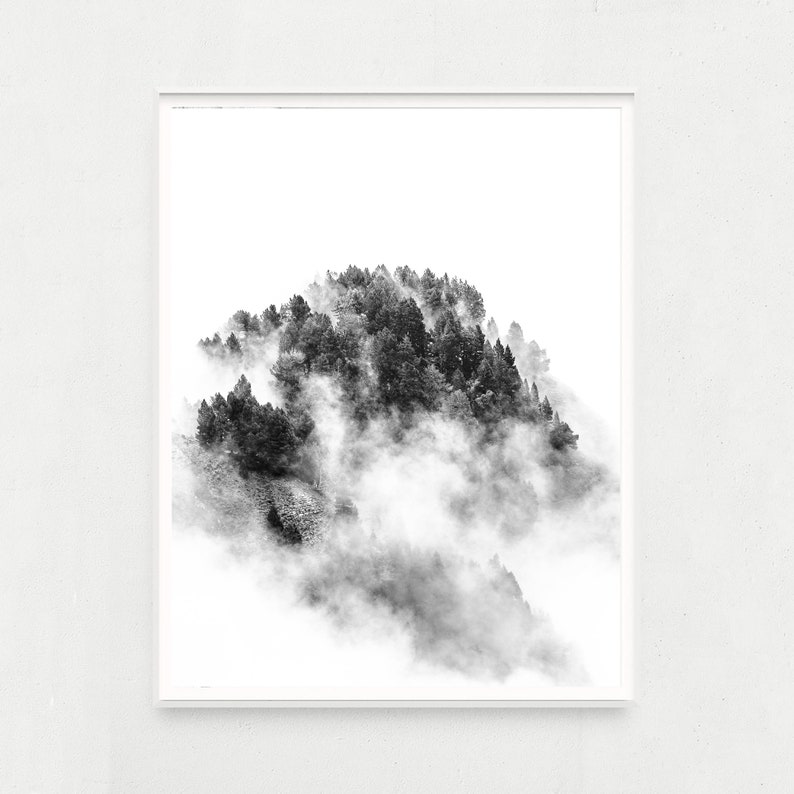 Photo noir et blanc d'un paysage de montagne : forêt de pins dans la brume. Décoration murale artistique pour votre maison ou votre bureau. image 8