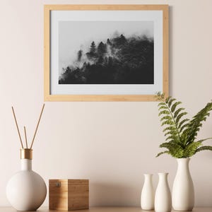 Photographie en noir et blanc d'une forêt enveloppée de brume. Les arbres apparaissent à travers un voile de brouillard, créant une ambiance apaisante et mystérieuse.