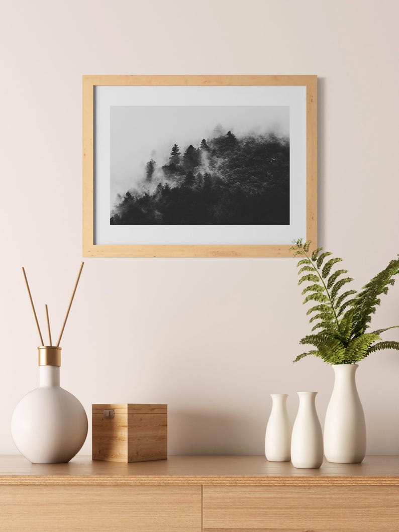 Photographie en noir et blanc d'une forêt enveloppée de brume. Les arbres apparaissent à travers un voile de brouillard, créant une ambiance apaisante et mystérieuse.
