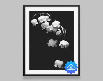 Lily of the Valley Fine Art Print – Black & White Floral Photography