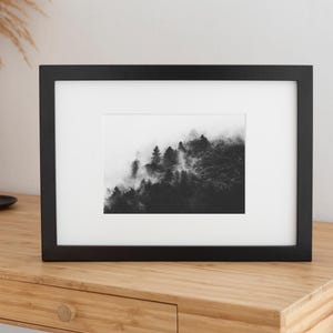 Photographie en noir et blanc d'une forêt enveloppée de brume. Les arbres apparaissent à travers un voile de brouillard, créant une ambiance apaisante et mystérieuse.