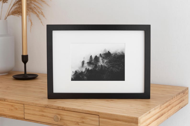 Photographie en noir et blanc d'une forêt enveloppée de brume. Les arbres apparaissent à travers un voile de brouillard, créant une ambiance apaisante et mystérieuse.