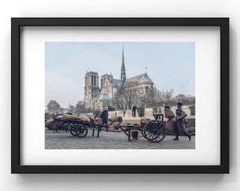 The docks of Notre-Dame de Paris - Color Photo - Limited Edition Photography