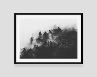 Misty Forest Art Print: Black and White Foggy Landscape