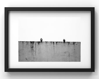 The Two Birds - Black and White Photo - Original Limited Edition