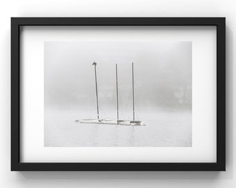 Cormorant in the Mist - Color Photo - Wall Decoration - Minimal Print