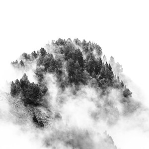 Photo noir et blanc d'un paysage de montagne : forêt de pins dans la brume. Décoration murale artistique pour votre maison ou votre bureau. image 2