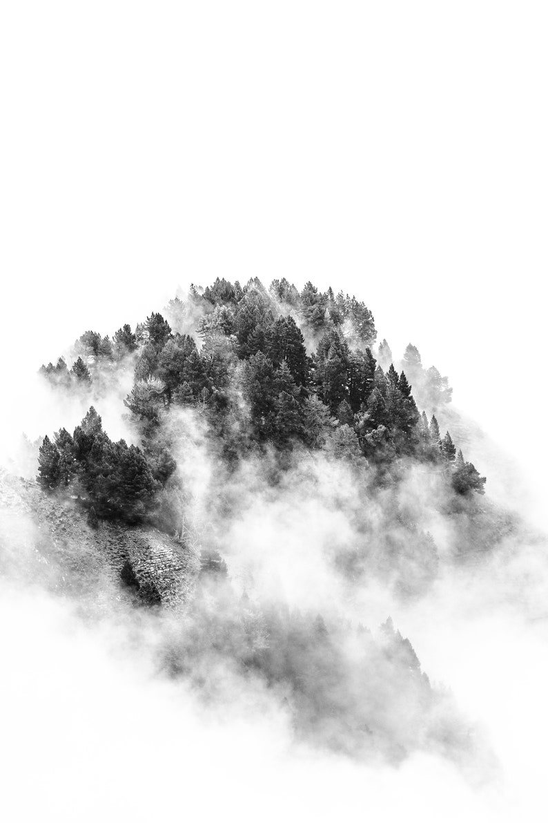 Photo noir et blanc d'un paysage de montagne : forêt de pins dans la brume. Décoration murale artistique pour votre maison ou votre bureau. image 2
