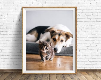 Hund-Katze-Bonding - Farbe Fotodruck - Verschiedene Größen erhältlich