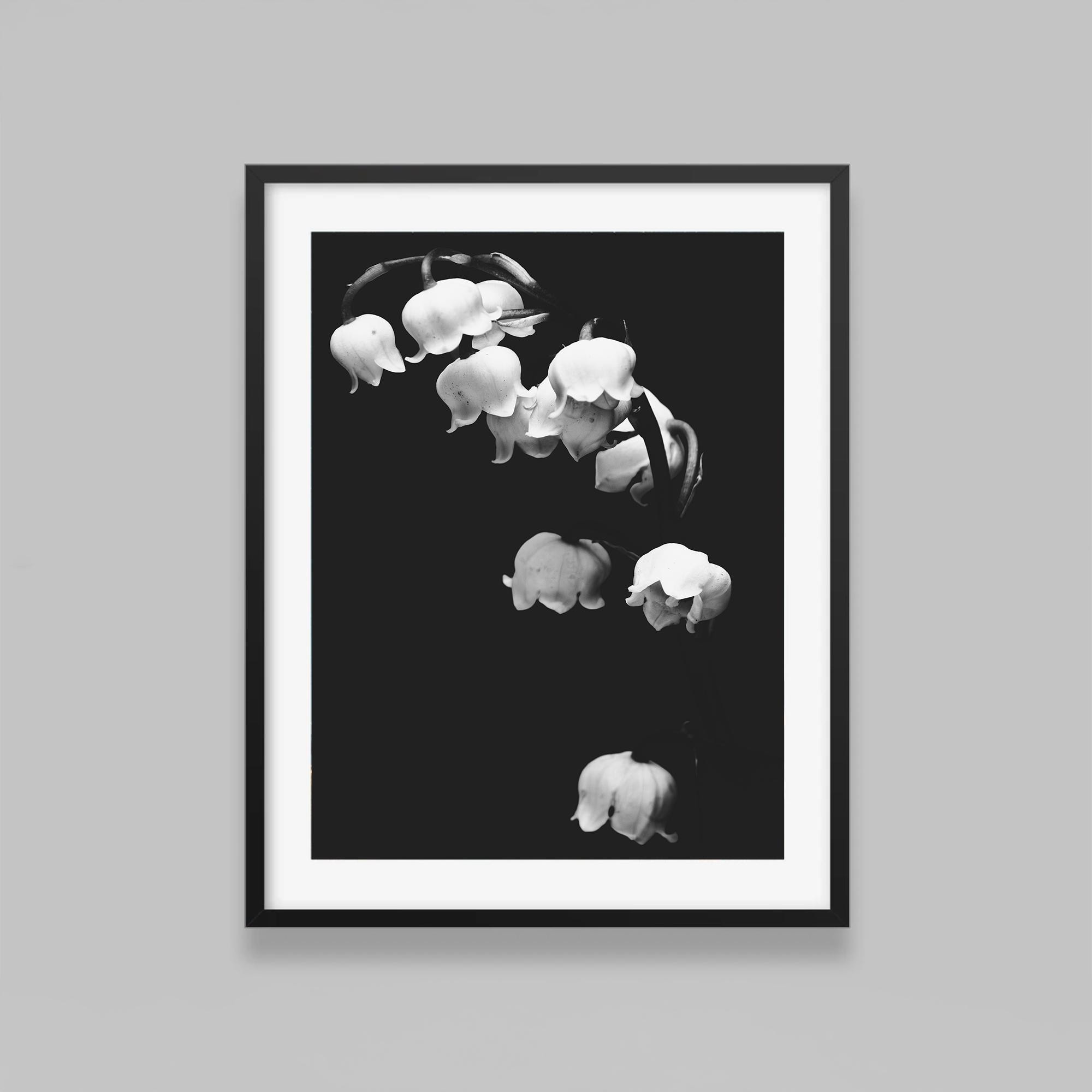 Lily of the Valley Fine Art Print: Black & White Botanical Photography -  Etsy