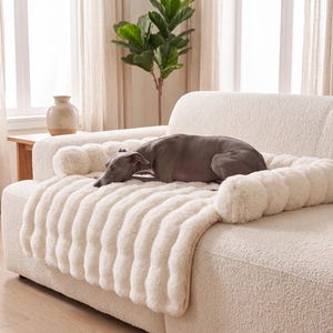 Puede incluir: Una cama para mascotas rectangular, de felpa color crema, con un borde grueso y acolchado de estilo almohadón y una textura suave y acanalada. La cama está colocada sobre un sofá a juego color crema, ofreciendo un espacio de descanso a un perro gris.