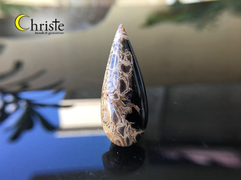 WF21 FEB012 Natural Petrified Palm Wood Fossil Cabochon teardrop 15x38x6mm