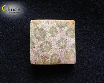 Coral Fossil Petoskey Pinkish Creamy Grey Flower Square Cabochon (AG79) 30x30x8mm