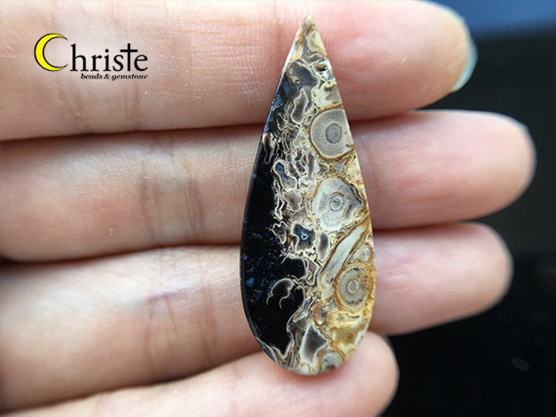 WF21 FEB012 Natural Petrified Palm Wood Fossil Cabochon teardrop 15x38x6mm