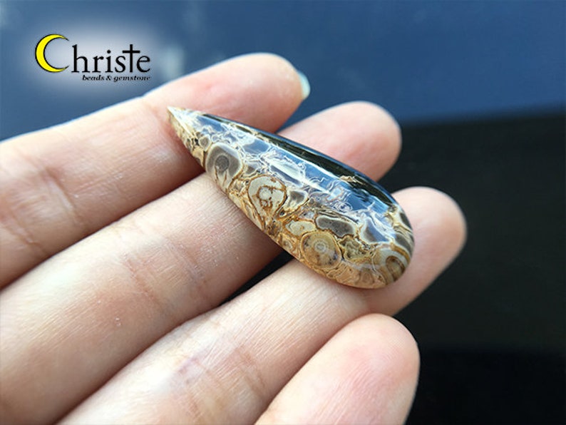 WF21 FEB012 Natural Petrified Palm Wood Fossil Cabochon teardrop 15x38x6mm