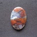 Natural scenery dendritic quartz picture moss agate oval cabochon 27x19x4mm (W)